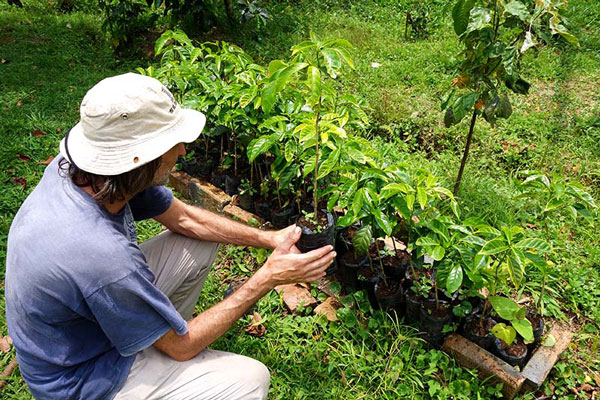 Nicaragua Fair Trade