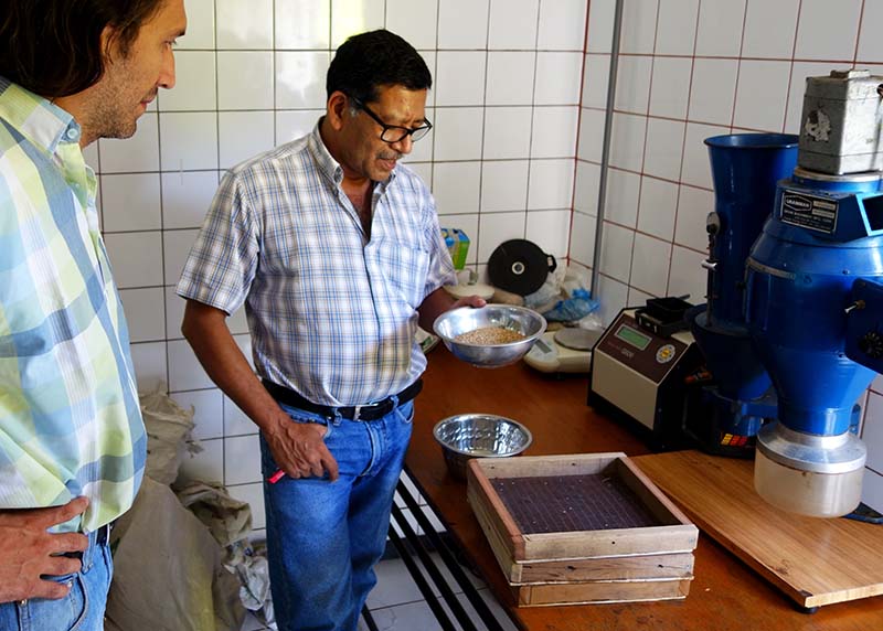 Nicaragua Fair Trade Erdnüsse