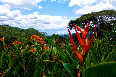 Spanisch Lernen in Nicaragua Matagalpa