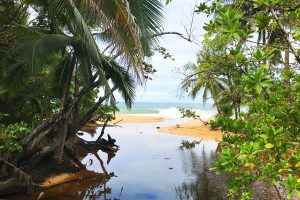 Bluff Beach Spanisch lernen Panama