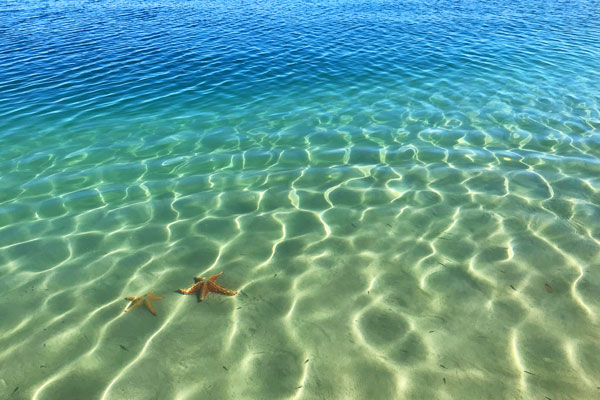 Starfish Beach Bocas