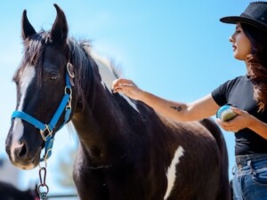 Nepal Reiten Yoga Retreat